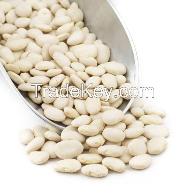 White Kidney Beans