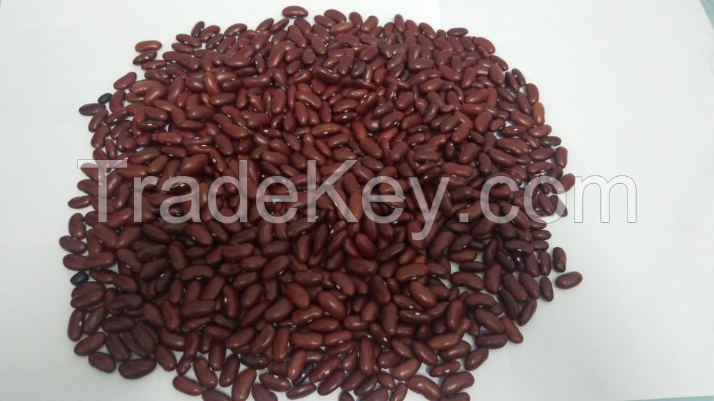 Red Kidney Beans