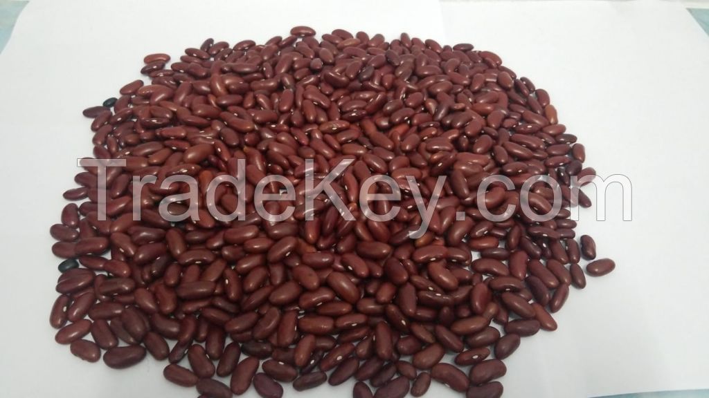 Red Kidney Beans