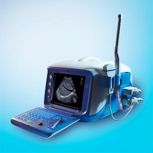 CX9000C Ultrasonic diagnosing scanner