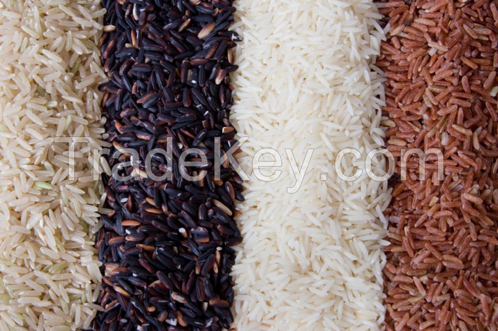 RICE