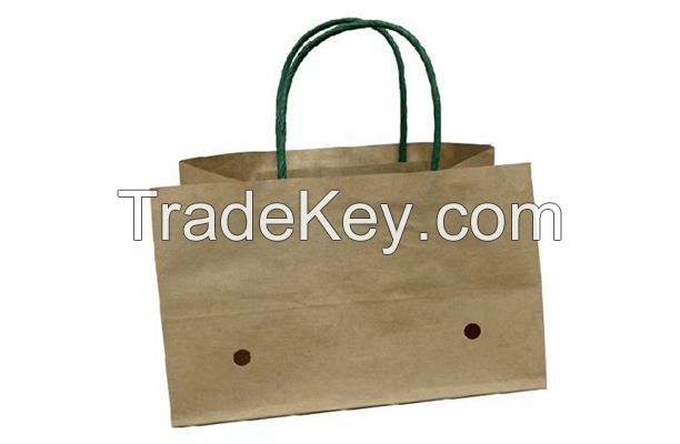 Wet strength Brown Kraft Paper Grape Bags With Handle for 500-1000g grapes
