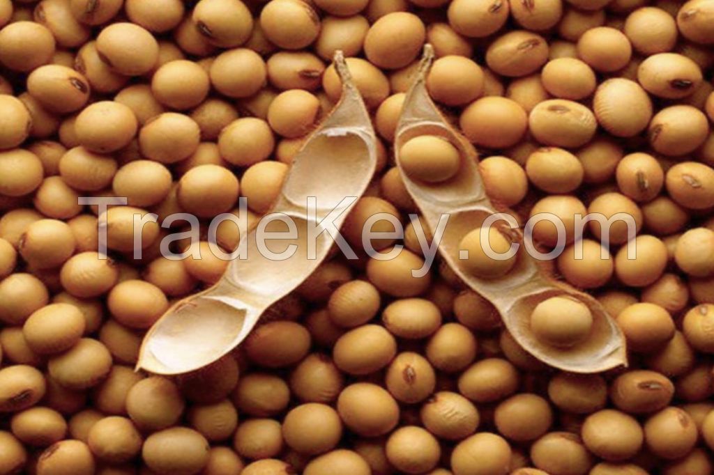 Soybean (Meal or Oil)
