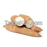 Fresh Cassava, Cassava Flour, Cassava Starch
