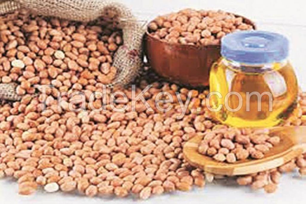 Groundnut (Peanuts)