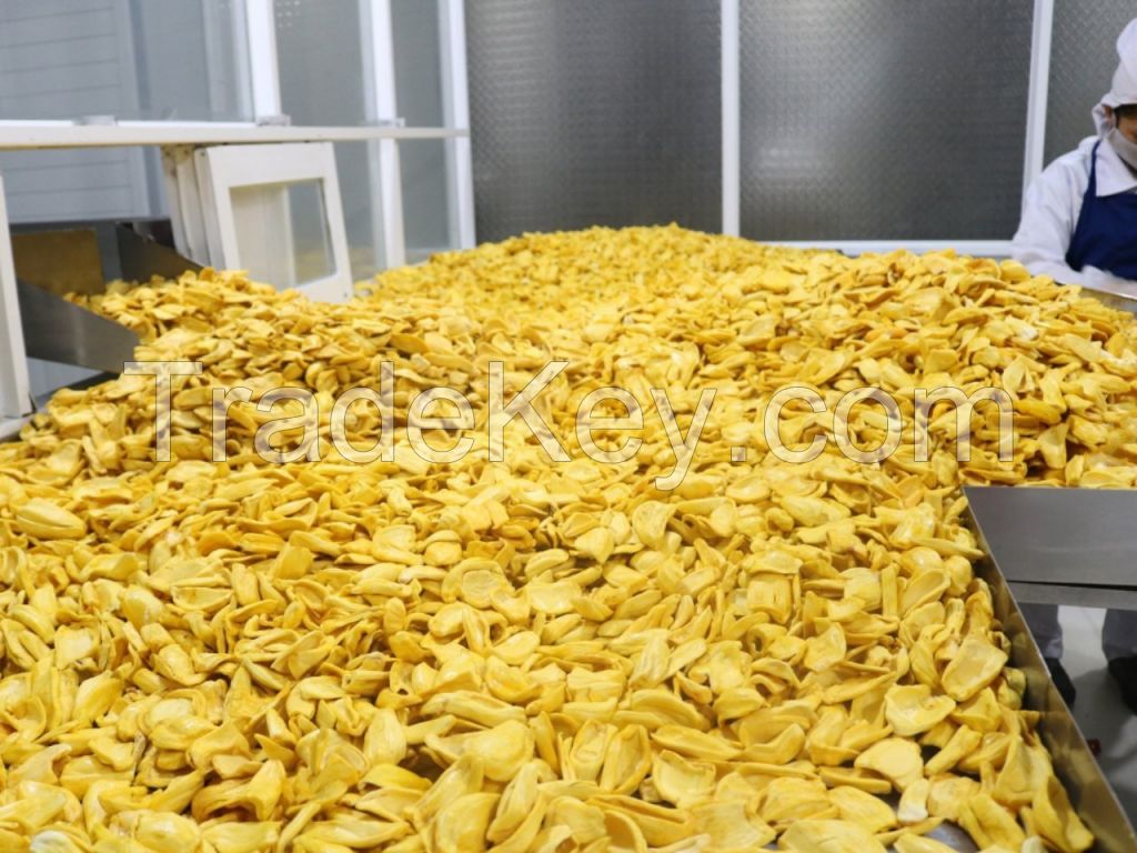 High quality 100% natural jackfruit Freeze Dried Jackfruit