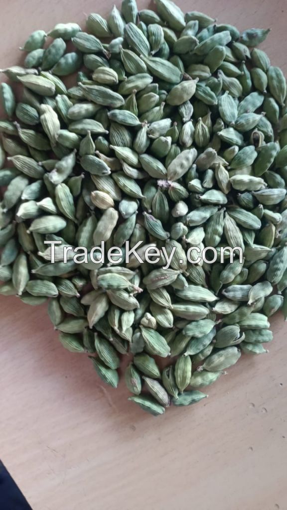 Green Cardamom (6mm - 9mm), FACNY GREEN, GREEN - HIGH QUALITY INDAIN CARDAMOM