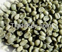 Coffee Bean Common Cultivation Type Robusta Variety Processing Type Green 90% Maturity