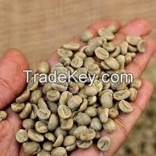 Coffee Bean Common Cultivation Type Robusta Variety Processing Type Green 90% Maturity