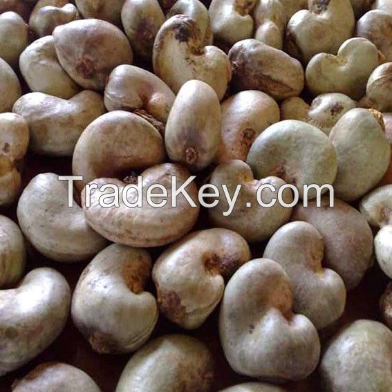 Selling best Organic Processed Cashew Nuts