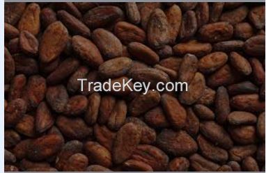 Cocoa Beans