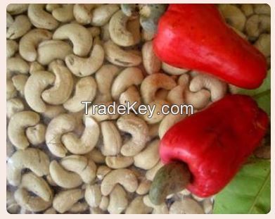 Selling best Organic Cashew Nuts