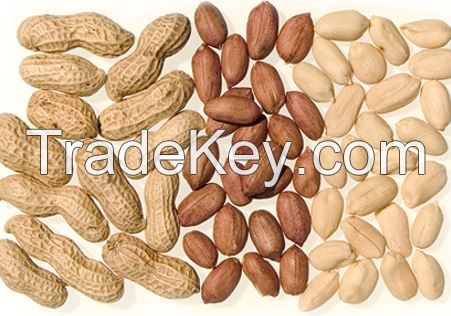Peanut, Ground nut
