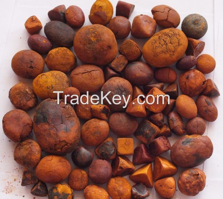 Buy Ox Gallstones / Buy Cattle Gallstones / Human Gallstones 