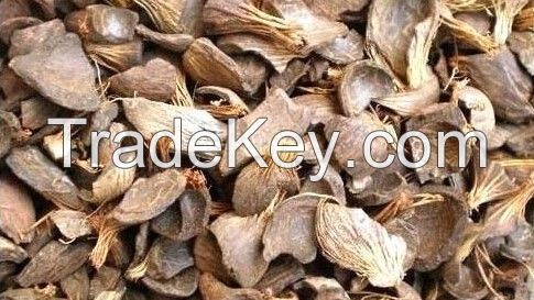 Palm Kernel Shell  - PKS