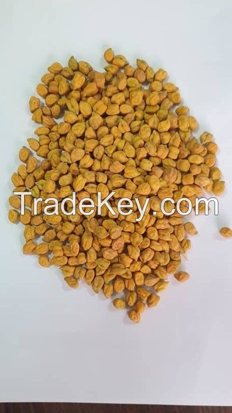 Kabuli Chickpeas