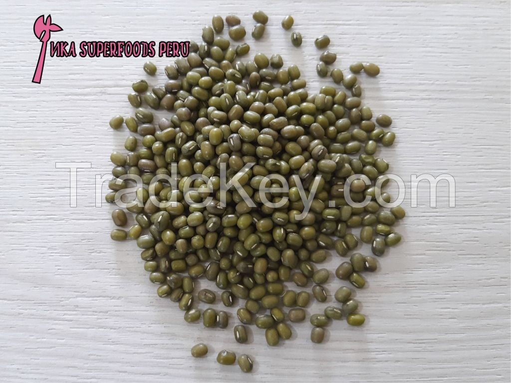 Mung Bean