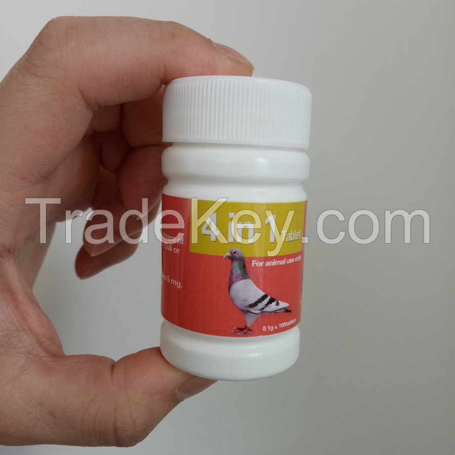 Racing Pigeon Medicine Furaltadone Ronidazole 4 in 1 Tablet