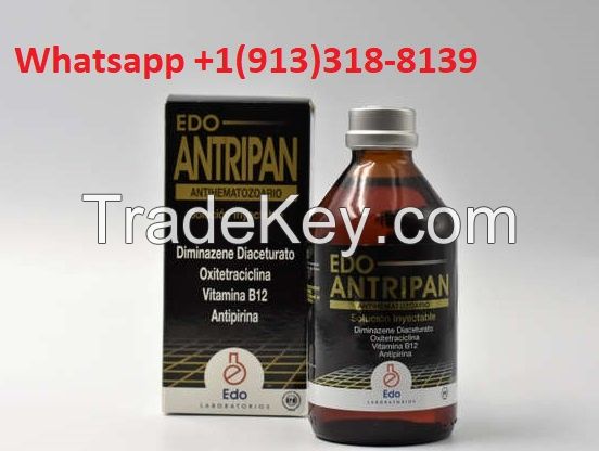 Edo Antripan 100ml