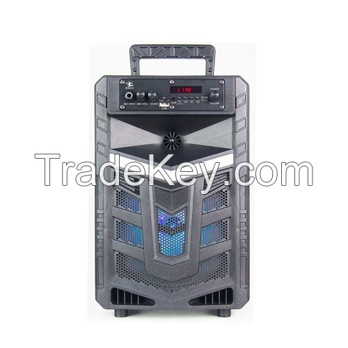 China Portable Subwoofer Speaker without Trolley BK-N810