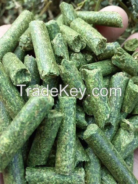 Alfalfa Pellets - Animal Feed