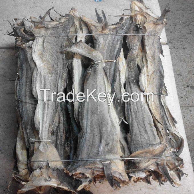 Dry Stockfish Head (1 Pc)