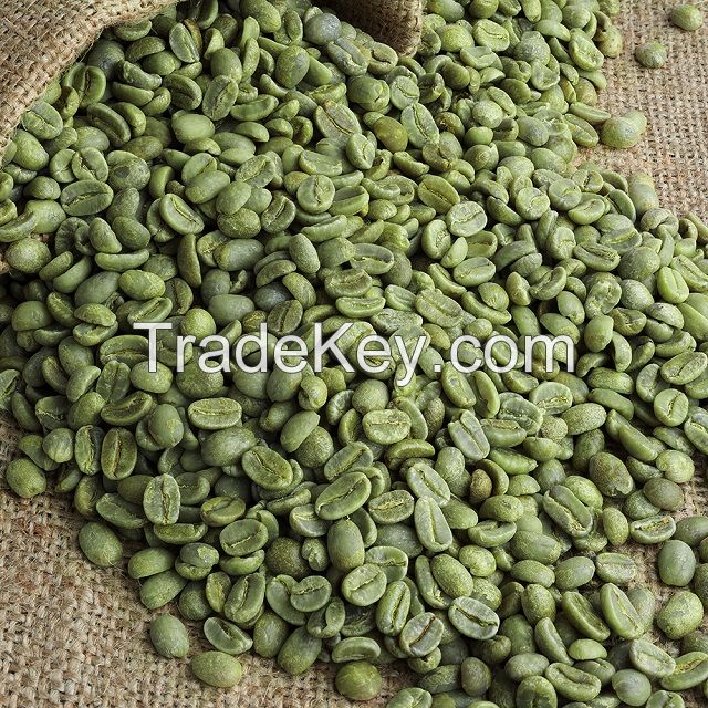 Sidamo Ethiopia Green Coffee Beans 100% Pure Arabica Washed Grade 2