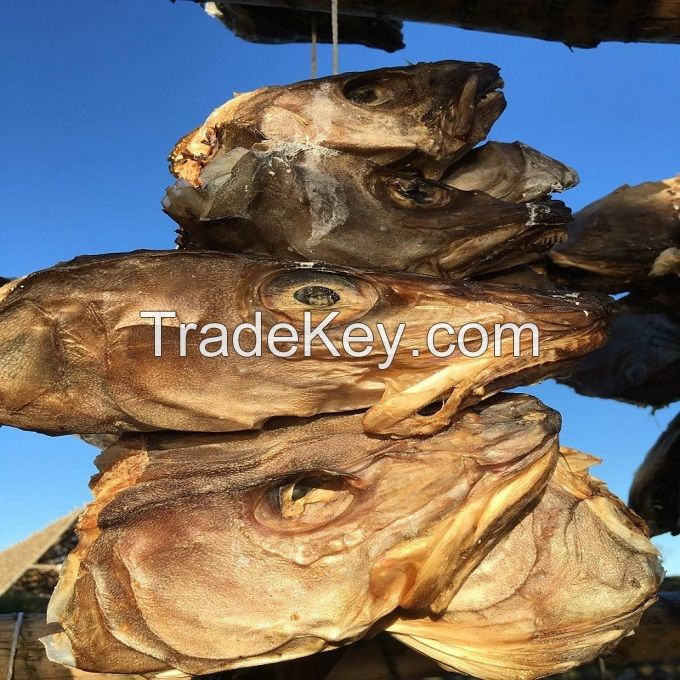 Dried Stockfish / Stockfish Cod From Norway by Spinel Company