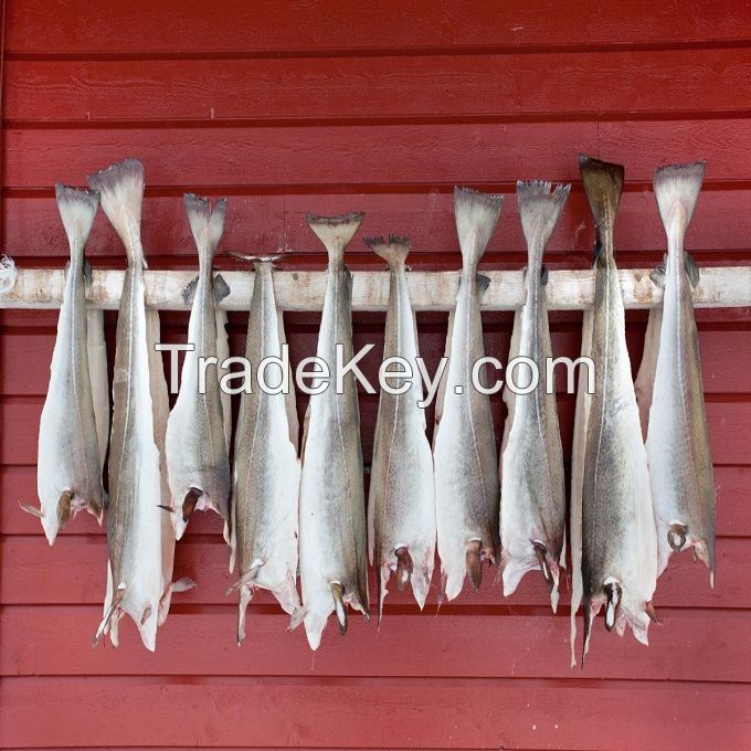 Dried Stockfish Cod from Norway,Dried Norwegian Stockfish & Cod heads/Cod and Dried Stock Fish