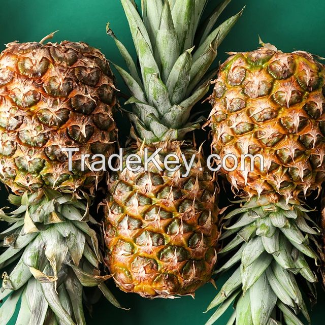 Fresh Pineapples Quality Fresh Wholesale Fresh Pineapple,BEST PRICE FRESH PINEAPPLE