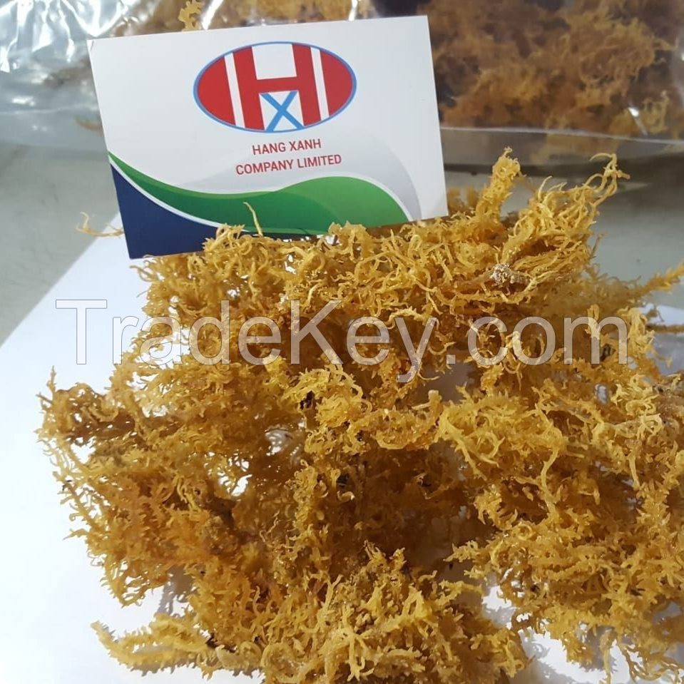 DRIED EUCHEUMA COTTONII SEAWEED WITH GOOD PRICE // WHATSAAP: +84359443043