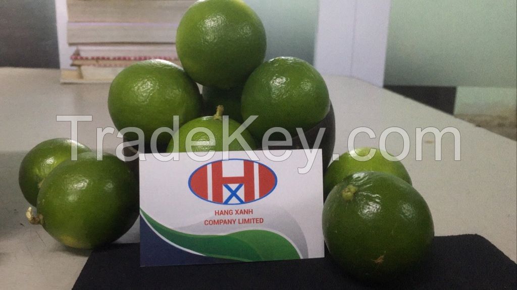 SEEDLESS LIME FRESH GREEN LEMON // WHATSAAP: +84359443043