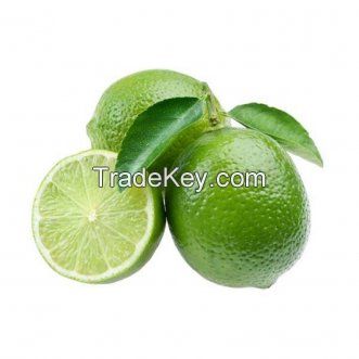 SEEDLESS LIME FRESH GREEN LEMON // WHATSAAP: +84359443043