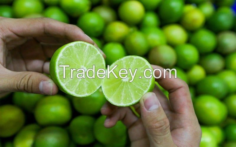 SEEDLESS LIME FRESH GREEN LEMON // WHATSAAP: +84359443043