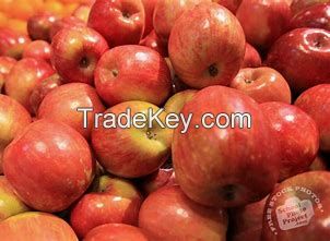 Fresh Apples, Fuji Apples, Red Apples, Gala Apples  