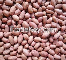 Peanuts, Melon Seeds, Canned Kernels, Chestnuts,Other Nuts/Kernels