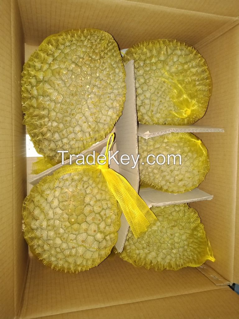 Frozen Durian Fruit and Fresh Durian From Viet Nam +84 898862498