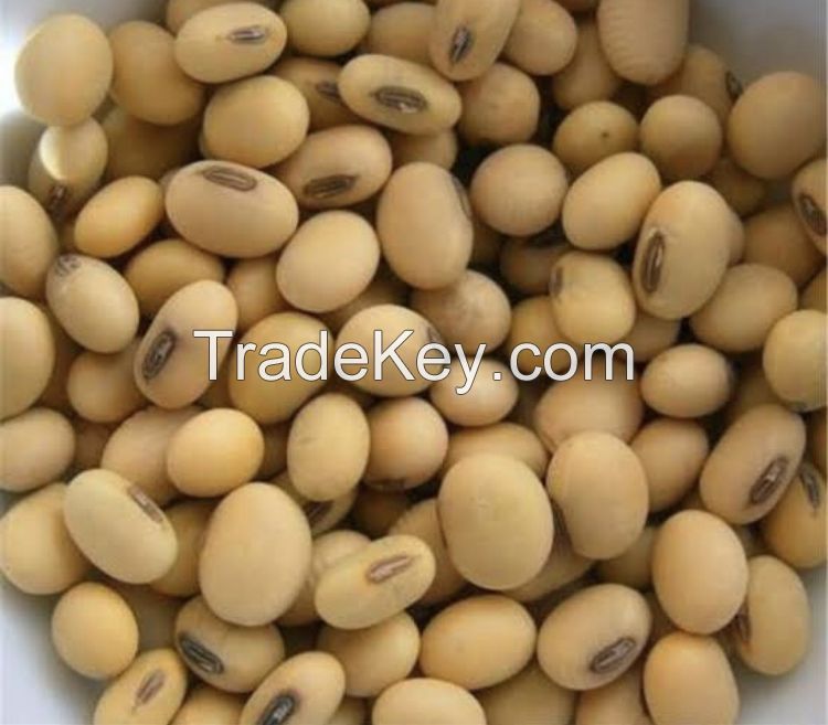 Soybeans