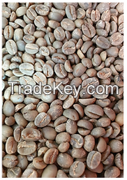 Robusta Coffee Green Beans