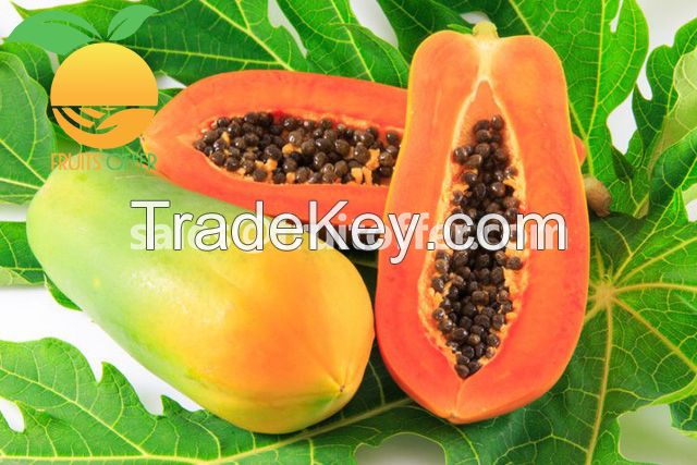 Frozen Papaya