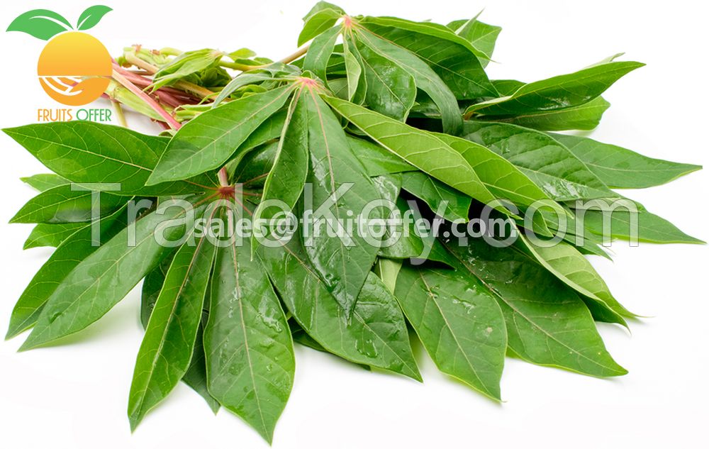 Frozen Cassava Leaf / Saka Saka