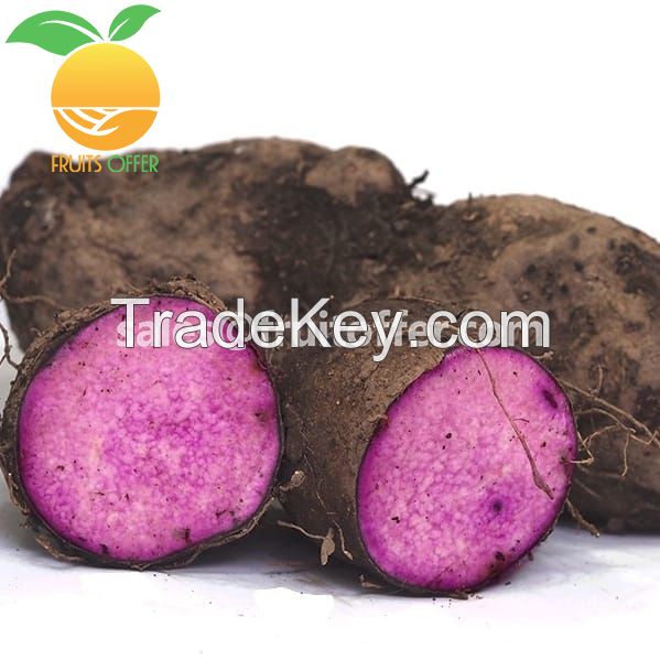 Purple Yam