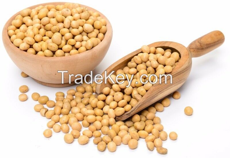Organic Soya Beans for sale large quantity
