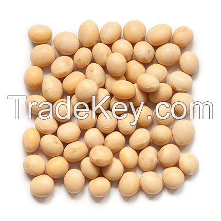 Organic Soya Beans for sale large quantity