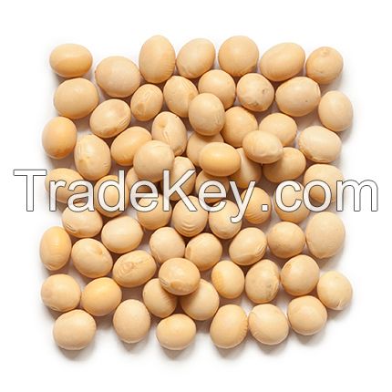 Organic Soya Beans Wholesale  Organic large quantity