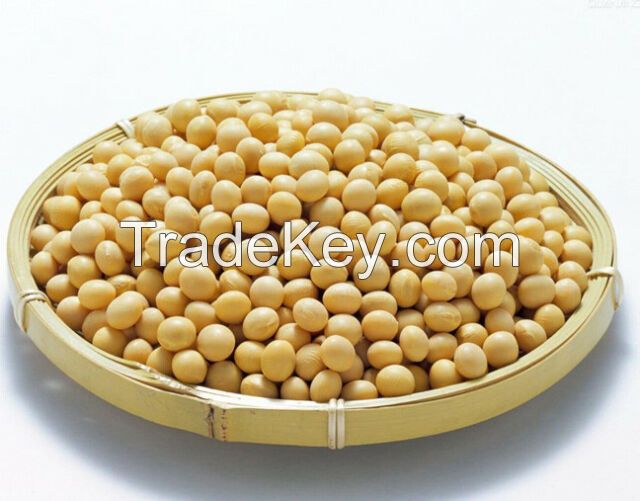 Organic Soya Beans for sale large quantity