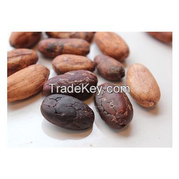 High Quality Vietnam Cocoa Beans 100% Natural 