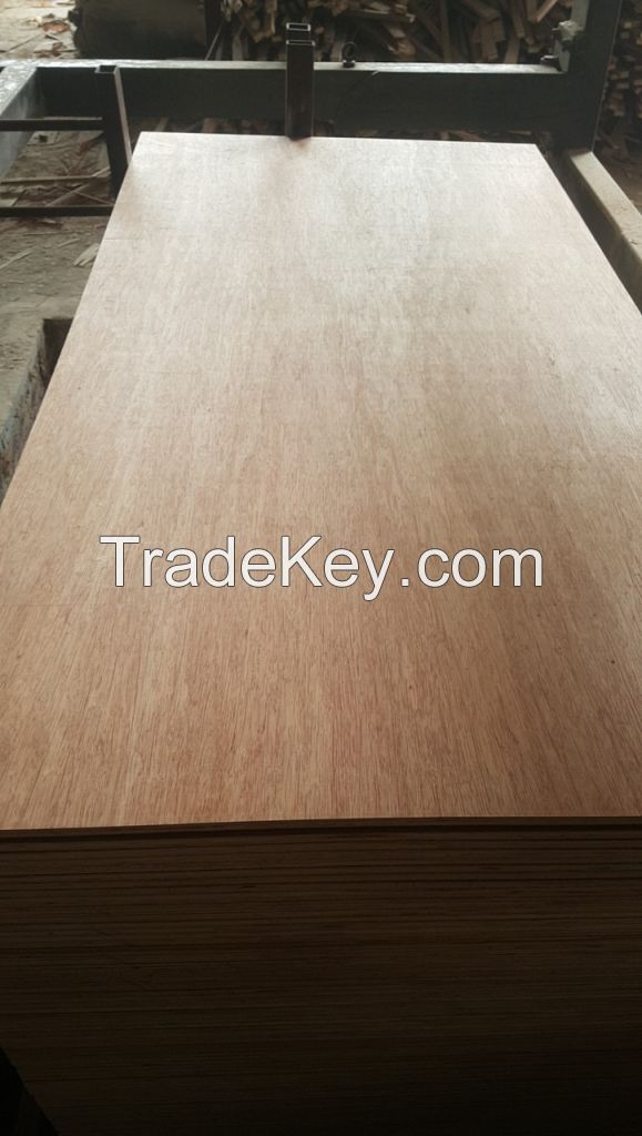 Plywood and Construction grade board