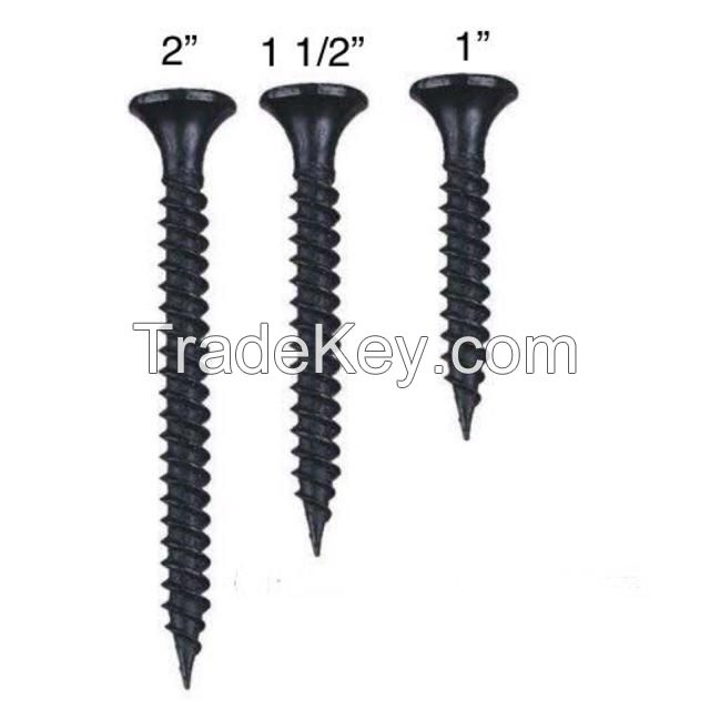 Gypsum Board Screw