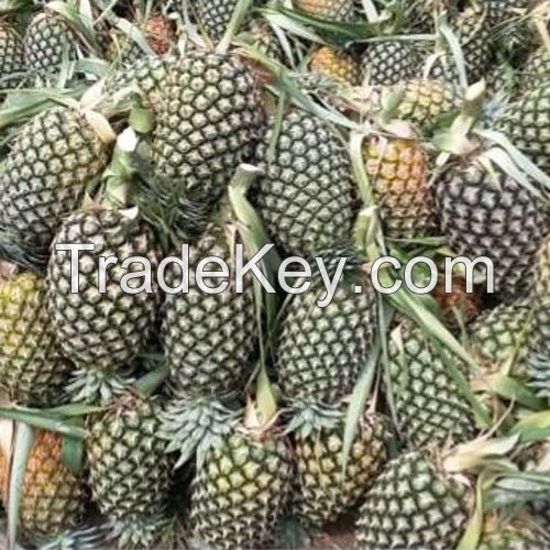 Fresh pineapples